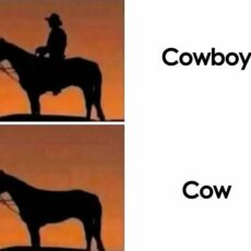 კოვბოი