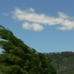 15 მარტს კოლხეთის დაბლობზე და ზემო იმერეთის ტერიტორიაზე მოსალოდნელია აღმოსავლეთის ძლიერი ქარი