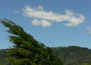 15 მარტს კოლხეთის დაბლობზე და ზემო იმერეთის ტერიტორიაზე მოსალოდნელია აღმოსავლეთის ძლიერი ქარი