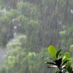 3-5 მარტს საქართველოში შენარჩუნებული იქნება შედარებით ცივი და დროგამოშვებით ნალექიანი ამინდი