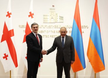 მიხეილ ყაველაშვილი ნიკოლ ფაშინიანს შეხვდა