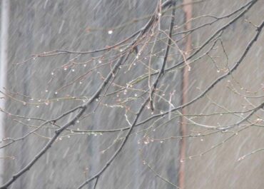 1 მაისამდე საქართველოში შენარჩუნებული იქნება გრილი და ზოგან მცირე ნალექიანი ამინდი