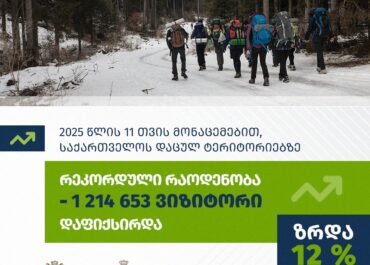 2025 წლის 11 თვის მონაცემებით, საქართველოს დაცულ ტერიტორიებზე რეკორდული – 1 214 653 ვიზიტორი დაფიქსირდა