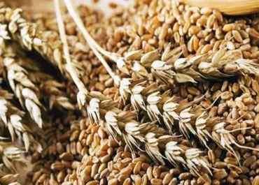 UNESCO-მ „ქართული ხორბლის კულტურა: ტრადიციები და რიტუალები“ კაცობრიობის არამატერიალური კულტურული მემკვიდრეობის წარმომადგენლობით ნუსხაში შეიტანა