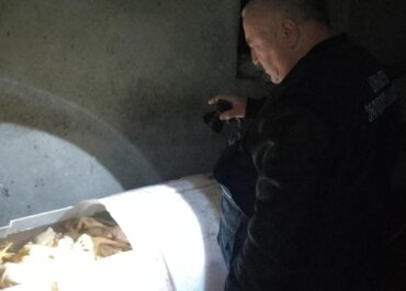 სურსათის ეროვნულმა სააგენტომ აჭარასა და იმერეთში ფრინველის არალეგალურ სასაკლაოებს საწარმოო პროცესი შეუჩერა