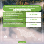 ეროვნული სატყეო სააგენტოს თანამშრომლებმა იანვარში სამართალდარღვევის 32 ფაქტი გამოავლინეს