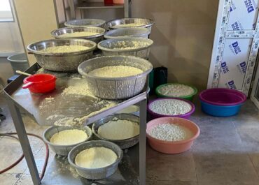 არალეგალური რძის გადამმუშავებელი საწარმოები გამოვლინდა კახეთსა და ქვემო ქართლში