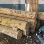 გარემოსდაცვითი ზედამხედველობის დეპარტამენტმა უკანონო ტყითსარგებლობის 8 ფაქტი გამოავლინა