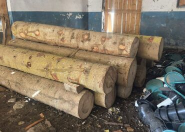 გარემოსდაცვითი ზედამხედველობის დეპარტამენტმა უკანონო ტყითსარგებლობის 8 ფაქტი გამოავლინა