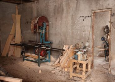 ტყიბულში, სახელმწიფო ტყეში ხე-ტყის უკანონო მოპოვებისა და ტრანსპორტირების ფაქტი გამოვლინდა