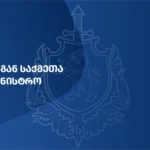 სამართალდამცველებმა სხვადასხვა ნეონაცისტური დაჯგუფებისა და ფაშისტური იდეოლოგიის მხარდამჭერი 13 პირი დააკავეს