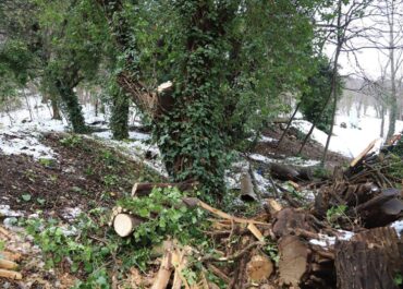 თბილისის მერია – ბოტანიკური ბაღი ვიზიტორებისთვის დროებით დაკეტილია