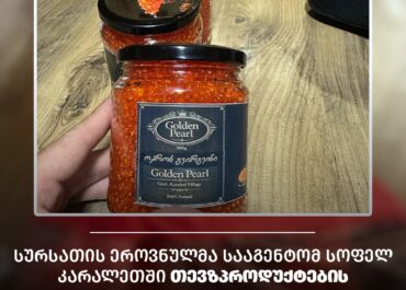 სურსათის ეროვნულმა სააგენტომ გორში თევზპროდუქტების არალეგალური საწარმო გამოავლინა