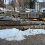 გარემოსდაცვითი ზედამხედველობის დეპარტამენტმა აჭარაში უკანონო ტყითსარგებლობის 10 ფაქტი გამოავლინა