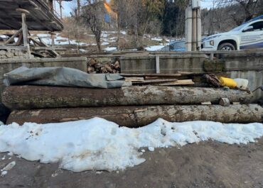 გარემოსდაცვითი ზედამხედველობის დეპარტამენტმა აჭარაში უკანონო ტყითსარგებლობის 10 ფაქტი გამოავლინა