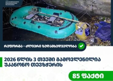 გარემოსდაცვითი ზედამხედველობის დეპარტამენტმა 2026 წლის სამ თვეში უკანონო თევზჭერის 85 ფაქტი გამოავლინა