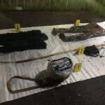 გარემოსდაცვითი ზედამხედველობის დეპარტამენტმა ქვემო ქართლში ბრაკონიერების ფაქტი გამოავლინა