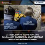 სურსათის ეროვნულმა სააგენტომ აბაშაში, გორში, წყალტუბოსა და გარდაბანში ფრინველთა არალეგალური სასაკლაოები გამოავლინა