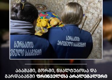 სურსათის ეროვნულმა სააგენტომ აბაშაში, გორში, წყალტუბოსა და გარდაბანში ფრინველთა არალეგალური სასაკლაოები გამოავლინა