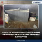 სურსათის ეროვნულმა სააგენტომ გორში ფრინველთა არალეგალური სასაკლაო გამოავლინა