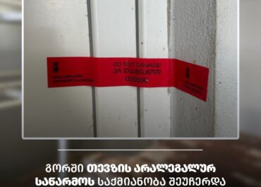 გორში თევზის არალეგალურ საწარმოს საქმიანობა შეუჩერდა