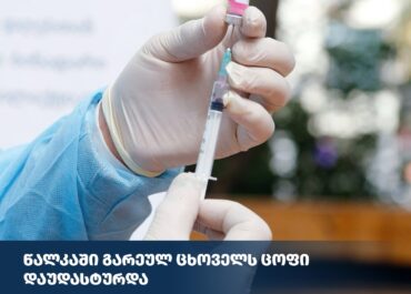 წალკაში კარანტინი გამოცხადდა