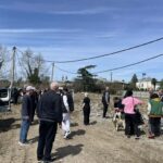 სეს – 435 ძაღლი უკვე დაუბრუნდა გარემოს