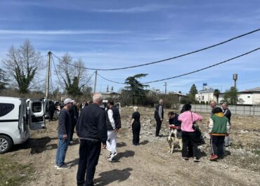 სეს – 435 ძაღლი უკვე დაუბრუნდა გარემოს