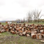 სატყეო სამსახურის თანამშრომლებმა თიანეთის სატყეო უბანზე სახელმწიფო ტყის თვითნებურად დაკავების ფაქტი გამოავლინეს