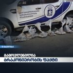გარემოსდაცვითი ზედამხედველობის დეპარტამენტმა თბილისში ბრაკონიერობის ფაქტი გამოვლინდა