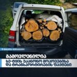 მცხეთა-მთიანეთში გამოვლინდა ხე-ტყის უკანონო მოპოვების და ტრანსპორტირების ფაქტები