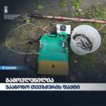 კახეთში უკანონო თევზჭერის ფაქტი გამოვლინდა
