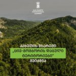 კახეთის მხარეში „ცივ-გომბორის დაცული ტერიტორიები“ შეიქმნა