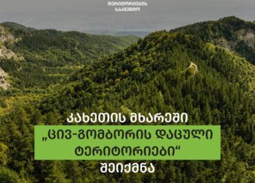 კახეთის მხარეში „ცივ-გომბორის დაცული ტერიტორიები“ შეიქმნა