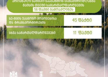 ეროვნული სატყეო სააგენტოს თანამშრომლებმა, მიმდინარე წლის მაისის თვეში, სამართალდარღვევის 56 ფაქტი გამოავლინეს