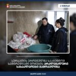 სურსათის ეროვნულმა სააგენტომ სამტრედიაში გოჭების არალეგალური სასაკლაოები გამოავლინა