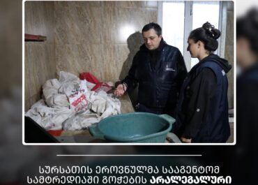 სურსათის ეროვნულმა სააგენტომ სამტრედიაში გოჭების არალეგალური სასაკლაოები გამოავლინა