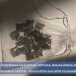 აფხაზეთის ავტონომიური რესპუბლიკის პოლიციის დეპარტამენტის თანამშრომლებმა 131 შეკვრა ნარკოტიკი ამოიღეს – დაკავებულია ერთი პირი