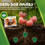 როგორ გავაძლიეროთ მცენარის ფესვთა სისტემა „აეგის სიმ ირიგას“ დახმარებით
