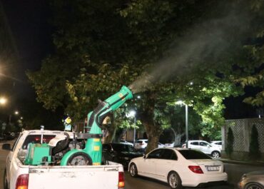 სურსათის ეროვნული სააგენტო ბათუმში ამერიკული თეთრი პეპლის საწინააღმდეგო ღონისძიებებს ახორციელებს