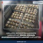 სურსათის ეროვნულმა სააგენტომ სამტრედიაში მწყრის კვერცხის არარეგისტრირებული საწარმო გამოავლინა