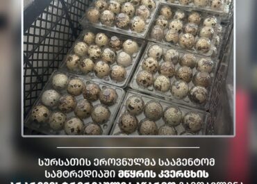 სურსათის ეროვნულმა სააგენტომ სამტრედიაში მწყრის კვერცხის არარეგისტრირებული საწარმო გამოავლინა