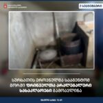 სურსათის ეროვნულმა სააგენტომ გორში ფრინველთა არალეგალური სასაკლაოები გამოავლინა