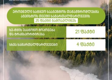 აგვისტოში ხე-ტყის უკანონო მოპოვების 25 ფაქტი გამოვლინდა