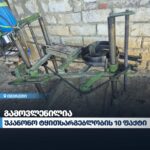გარემოსდაცვითი ზედამხედველობის დეპარტამენტმა იმერეთში უკანონო ტყითსარგებლობის ფაქტები გამოავლინა