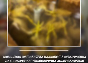 სურსათის ეროვნულმა სააგენტომ ქობულეთსა და თერჯოლაში ფრინველთა არალეგალური სასაკლაოები გამოავლინა